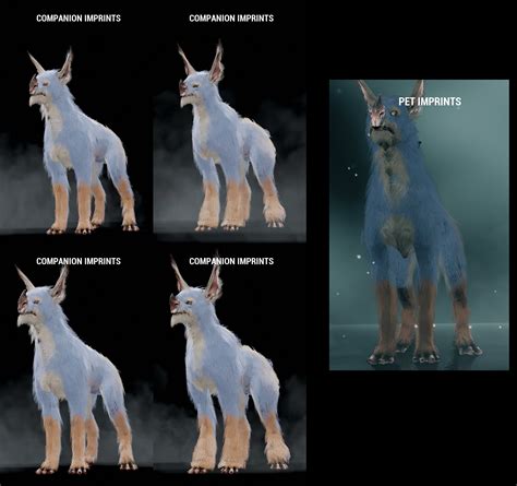 kubrow size chart.